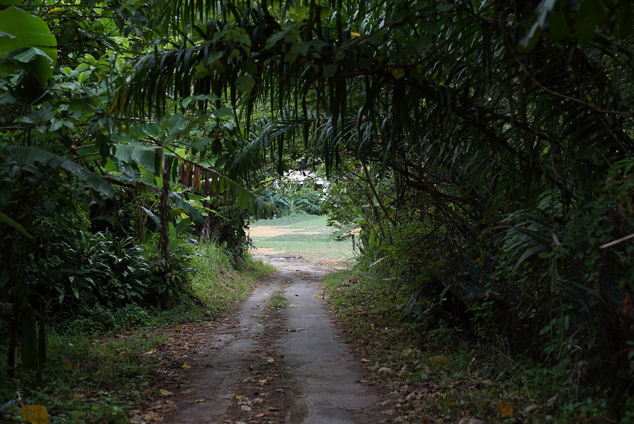 独库公路封闭时间解析