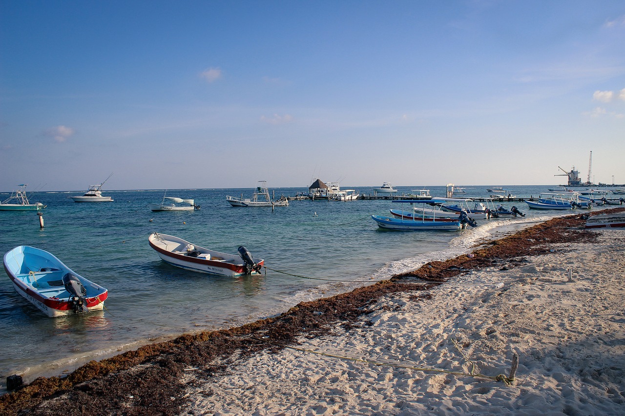 浙江七匹马出逃上海，一场意外的跨城之旅